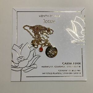 July Birthday Flower & Carnelian Gem 14k Gold Plated Necklace New